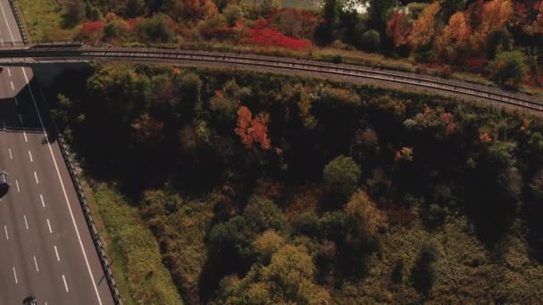 Fall Colour Don Valley Parkway Toronto Ontario Canada — Vídeo de stock