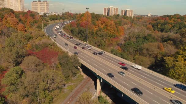 Осенний Цвет Над Дон Вэлли Паркуэй Торонто Онтарио Канада — стоковое видео