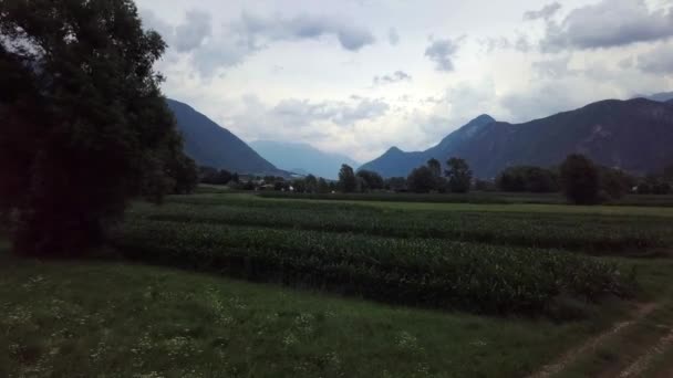 Veduta Aerea Campo Agricolo Levico Terme Durante Alba Con Drone — Video Stock