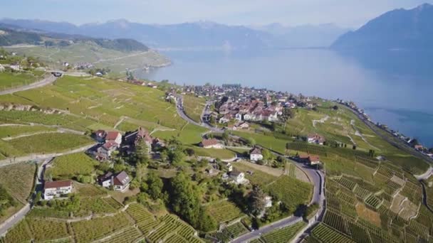 Hoch Hinaus Über Grandvaud Und Cully Mit Dem Lman See — Stockvideo