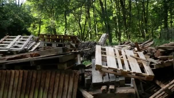 Fotografía Panorámica Vertedero Madera Bosque — Vídeo de stock