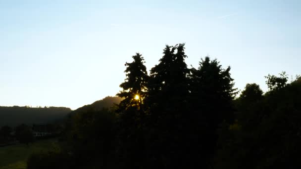 Flying Some Pine Trees Sun Flares Shining Trees Small Village — Video Stock