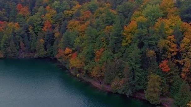 Majestic Aerial Shot Pink Lake Gatineau Park Fall Season — 图库视频影像