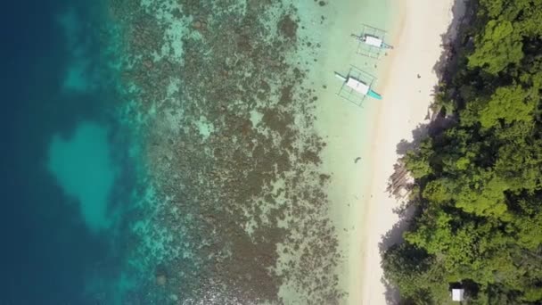 Luchtfoto Van Tropisch Eiland Met Groene Vegetatie Wit Zandstrand Met — Stockvideo