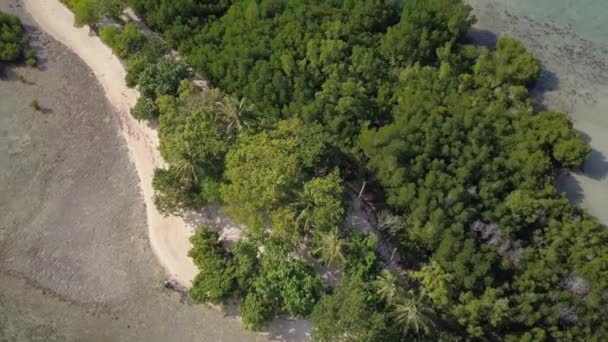 Aerial View Small Tropical Island Lots Trees Mangrove Philippines Camera — Stockvideo