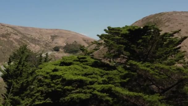 Беспилотник Поднимается Над Деревьями Показывая Шоссе Идущее Побережью Северной Калифорнии — стоковое видео