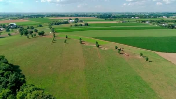 Amische Landschaft Und Ackerland Aus Der Sicht Einer Drohne — Stockvideo