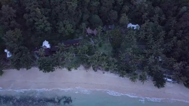 ジャングルと澄んだ水とビーチのヤシの木の間の小さな小屋の空中 カメラ台座アップ — ストック動画