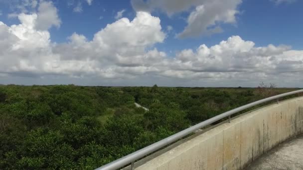 Viewpoint Everglades 2016 Recorded Dji Osmo — Stock Video