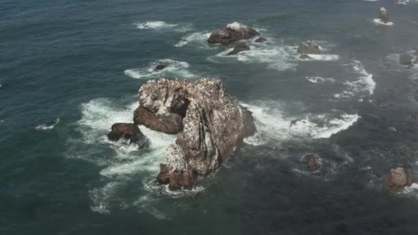 Birds Sitting Arched Rock Ocean Waves Crashing Beach Bodega Bay — Stock videók