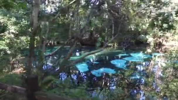 Een Prachtig Blauw Meer Het Bos Opgenomen Met Dji Osmo — Stockvideo