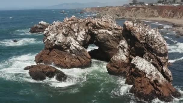 Birds Sitting Arched Rock Ocean Waves Crashing Beach Bodega Bay — Wideo stockowe