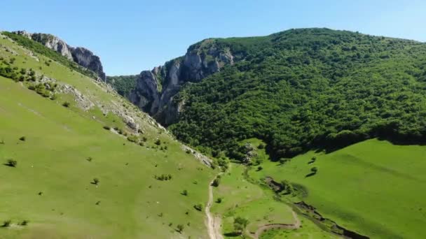 Amplia Vista Aérea Mientras Dron Alza Desde Prado Verde Abierto — Vídeos de Stock