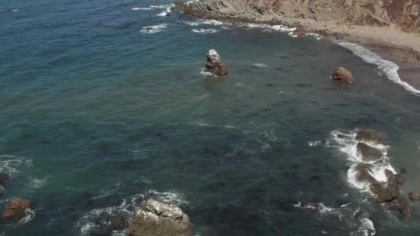 Birds Sitting Arched Rock Ocean Waves Crashing Beach Bodega Bay — Video