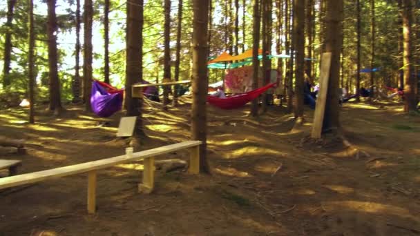 Fotografía Panorámica Estabilizada Camping Hamacas Dormidas Improvisado — Vídeos de Stock
