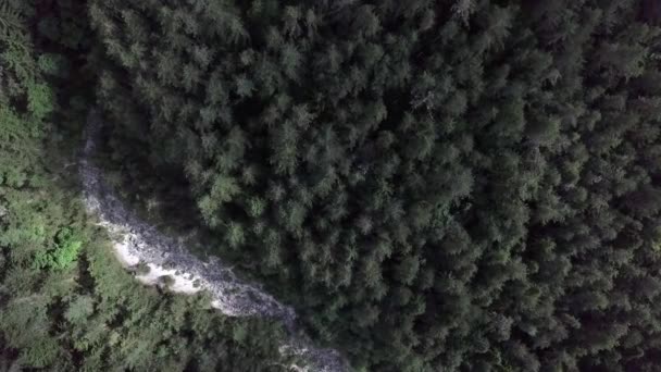 Letecký Pohled Shora Les Sugana Valley Trentino Itálie Dronem Sestupujícím — Stock video