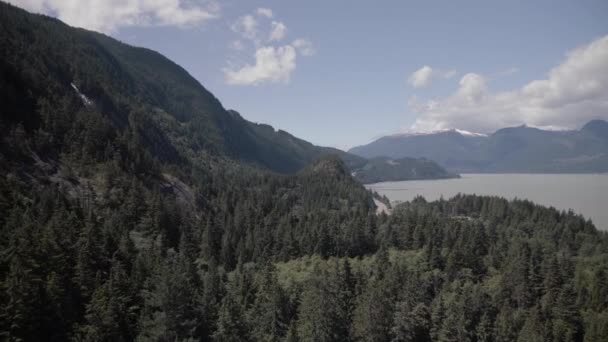 Vue Surélevée Printemps Howe Sonore Gondole — Video