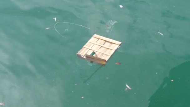 Floating Wooden Box Garbage Sea — Stock Video