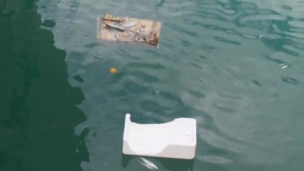 Plastic Bag Floating Sea — Stock Video