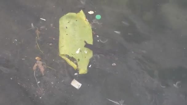 Yellow Bag Garbage Sea — Stock Video