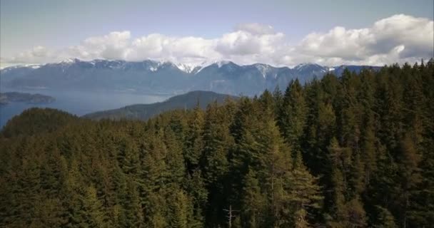 Bowen岛森林和山脉的空中景观 — 图库视频影像
