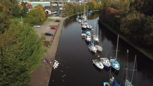 Aerial Shot Boats Canal Family Feed Birds — Vídeos de Stock