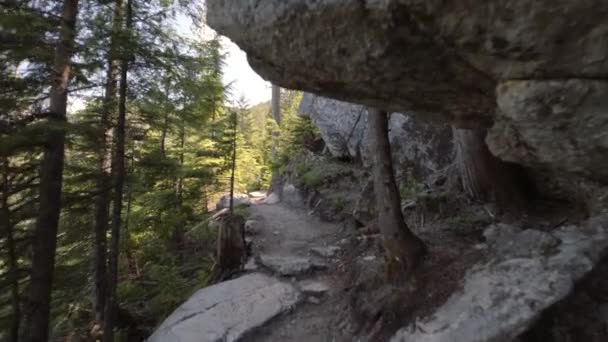 Beautiful Rock Formations Canadian Forest — Video Stock