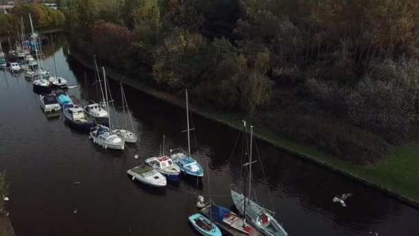 Slow Horizontal Panning Shot Boats Canal Tree Birds Flying Shot — Stok video