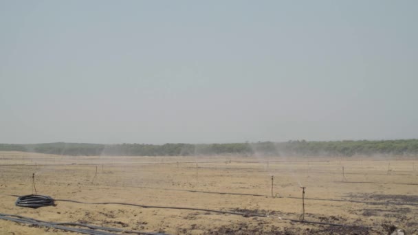 Sprinkler Irrigation System Watering Farmland Huelva Spain Wide Shot — 비디오