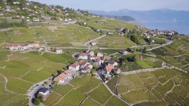 Aerial Orbit Typical Swiss Village Lavaux Vineyard Lake Lman Alps — Vídeo de Stock