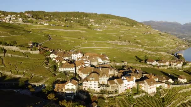 Orbiting Overflying Typical Village Rivaz Lavaux Vineyard Lake Lman Alps — Stok video