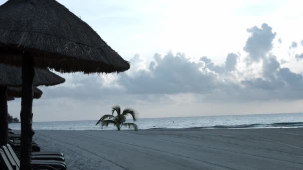 멕시코의 해변에 의자와 대양을 수있는 — 비디오
