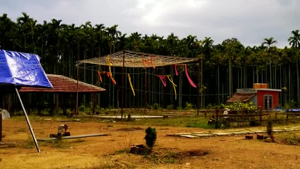 Colorful Flags Hanging Building Structure Blow Breeze Tall Palm Trees — Video Stock