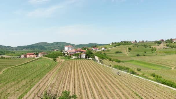 Aerial Footage Vineyard Gorgeous Landscape Slovenia — Stockvideo