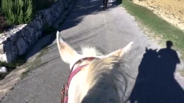 クスコに馬に乗る — ストック動画