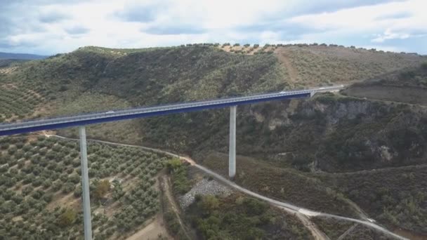 Aerial View Highway Viaduct — Wideo stockowe
