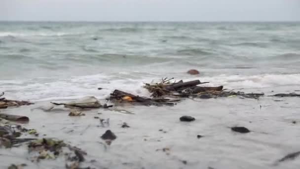 Very Polluted Dirty Beach Full Plastic Debris Sand Water Coast — Wideo stockowe