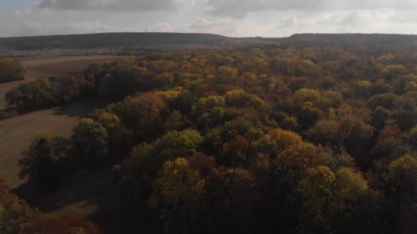 Aerial Flying Colorful Forest Autumn Germany Thuringia — Stockvideo