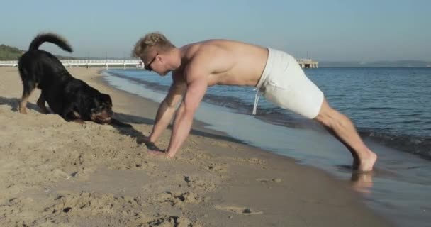 Excited Playful Dog Interrupts Man While Tries Push Ups Beach — 图库视频影像