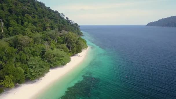Вид Воздуха Удивительную Воду Песчаном Пляже Растительностью Таиланде Отслеживание Камеры — стоковое видео