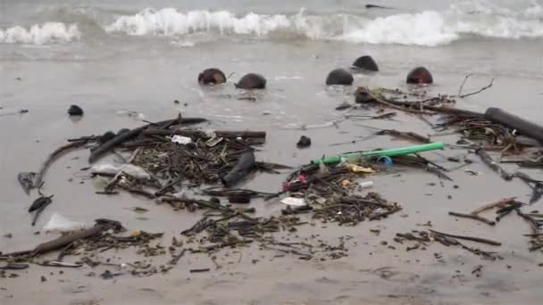 Very Polluted Dirty Beach Full Plastic Debris Sand Water Coast — Stock videók