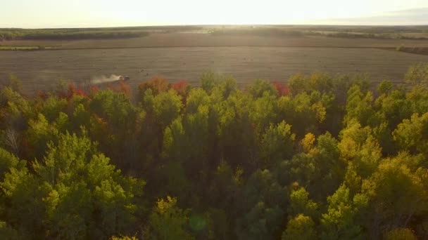 Aerial View Tractor Pulls Baling Machine Flat Farmland Tall Hardwood — Stockvideo