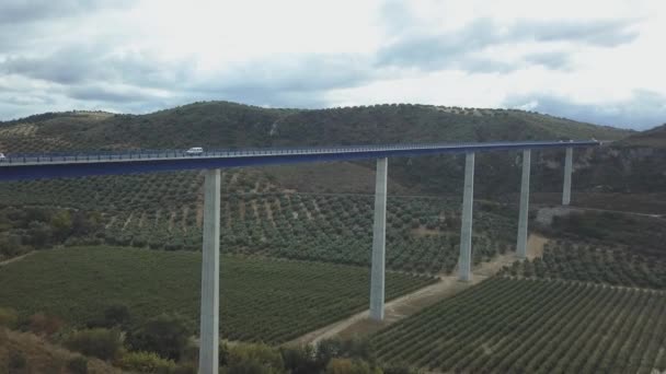 Aerial View Highway Viaduct — Wideo stockowe