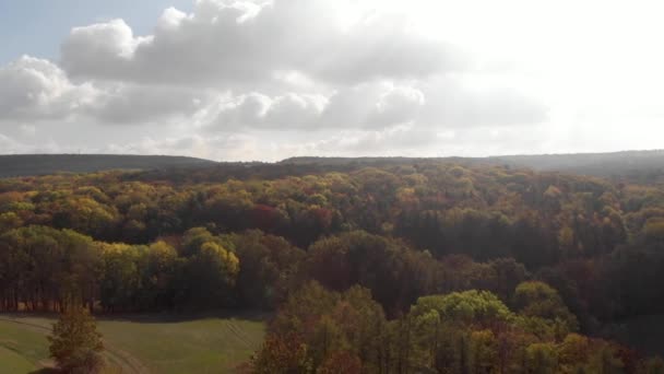 Aerial Drone Flying Colorful Forest Fall Lens Flare Pan — Wideo stockowe