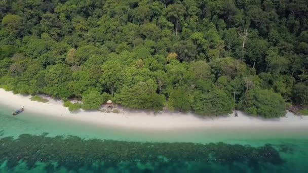 Aerial Shot Sandy Beach Beautiful Waters Natural Forest Thailand Camera — Stok video
