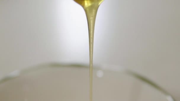 Close Honey Dripping Spoon Slow Motion — стоковое видео