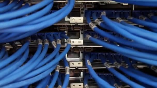 Close Moving Hundreds Blue Network Cables Connected Large Server — Vídeo de Stock