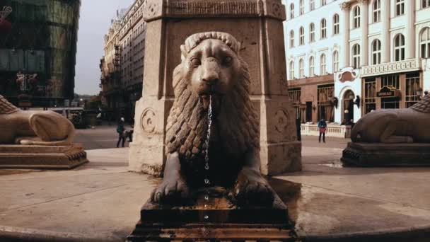 One Four Lion Fountains Vrsmarty Square — Stock video