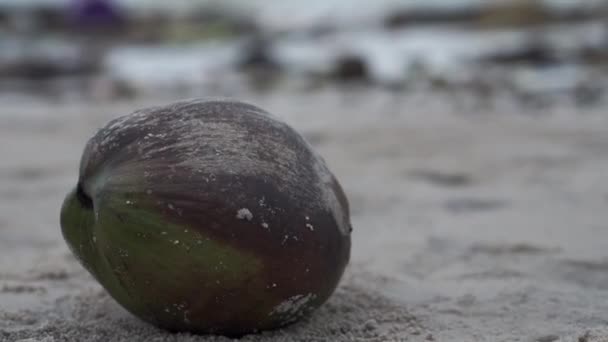 Very Polluted Dirty Beach Full Plastic Debris Sand Water Coast — Stock video