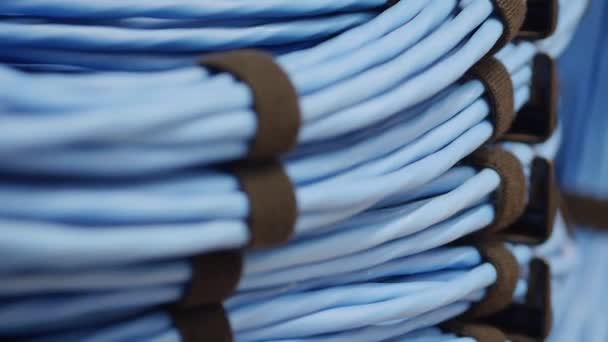 Close Coils Wound Blue Network Server Cables — Video